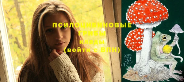 круглые Сатка