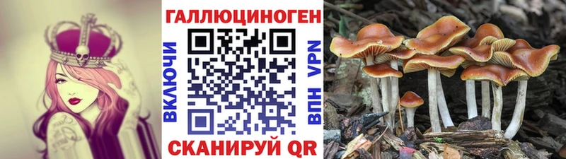 хочу   Котельнич  Галлюциногенные грибы Magic Shrooms 